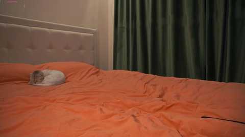 tastypoint @ chaturbate on 20251017