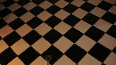 _meganmeow_ @ chaturbate on 20251018