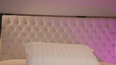 katestars @ chaturbate on 20251018