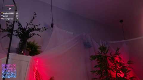 quennacindy @ chaturbate on 20251018