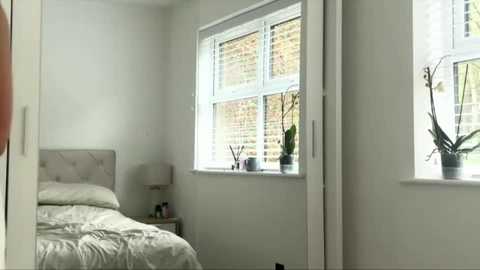 rosebella_ @ chaturbate on 20251018