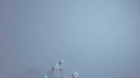 sanoradunston @ chaturbate on 20251018