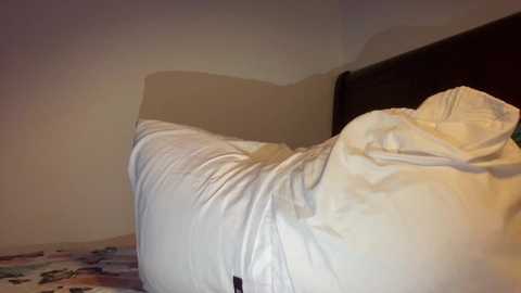 avangelinefunn99 @ chaturbate on 20251019