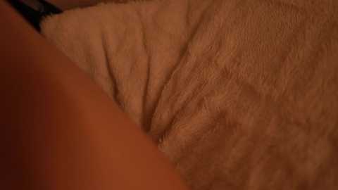 tollysage @ chaturbate on 20251019