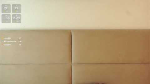 vivid_girls @ chaturbate on 20251019