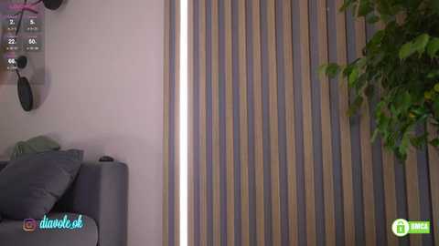 _kateline_ @ chaturbate on 20251020