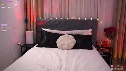 anitaraj_ @ chaturbate on 20251020