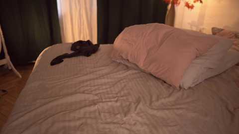 fuckingtoy_ @ chaturbate on 20251020