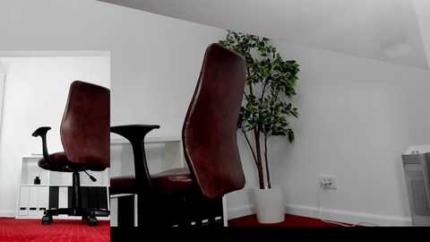 legswattitude @ chaturbate on 20251020