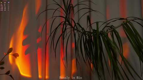 signehinz @ chaturbate on 20251020