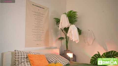 swtty_meivi @ chaturbate on 20251020