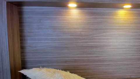 gigi_wilden @ chaturbate on 20251021