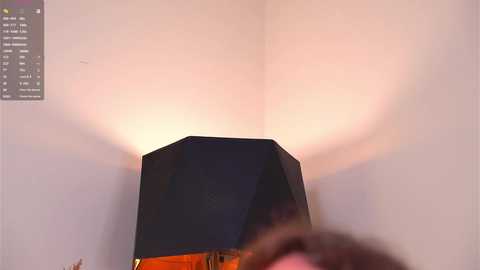 pafosstar @ chaturbate on 20251021