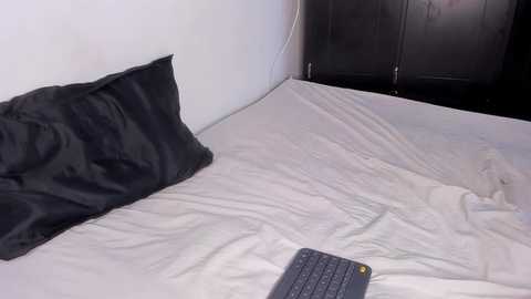 blackandwhite1_ @ chaturbate on 20251022