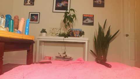 khloeexoxo @ chaturbate on 20251022