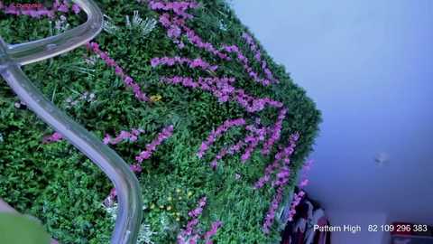 sabrina_geek @ chaturbate on 20251022