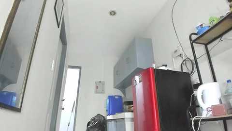 xdreamangel @ chaturbate on 20251023