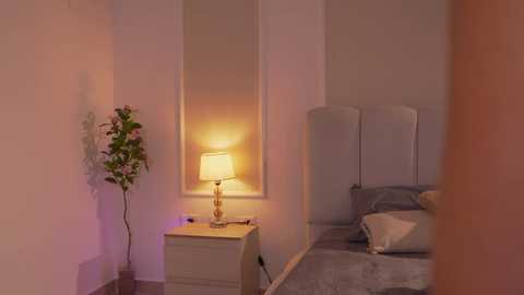 ashley_ospino @ chaturbate on 20251024