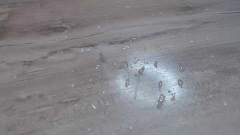 jully_lov @ chaturbate on 20251024