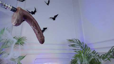 lil_shouty_bitch @ chaturbate on 20251024