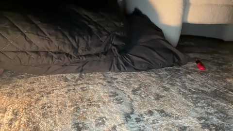 bonnettbonett @ chaturbate on 20251025