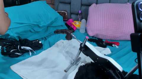 couple_gold69 @ chaturbate on 20251025