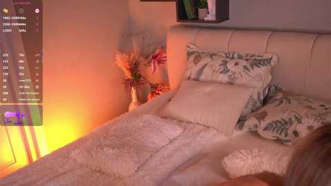 islandladies @ chaturbate on 20251025