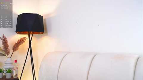 pafosstar @ chaturbate on 20251025