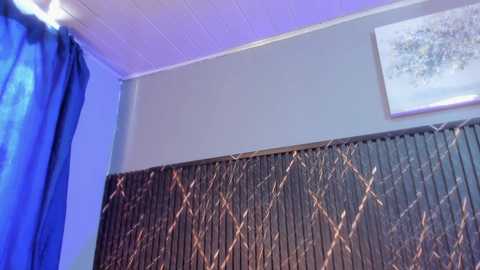 bathory_vamps @ chaturbate on 20251026