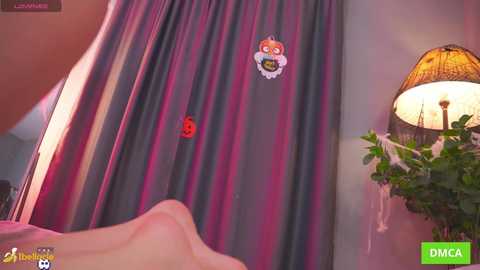 bellacle @ chaturbate on 20251026