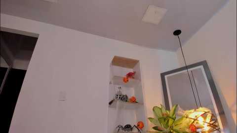 gabriela__gomez @ chaturbate on 20251026