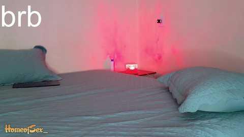 homeofsex_ @ chaturbate on 20251026