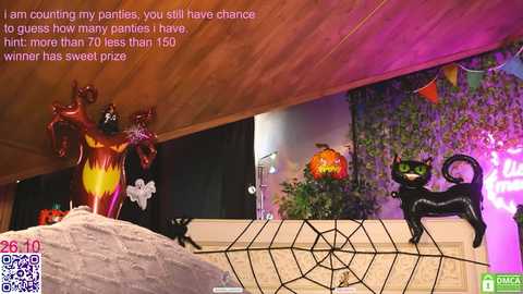 lissa_meooow @ chaturbate on 20251026