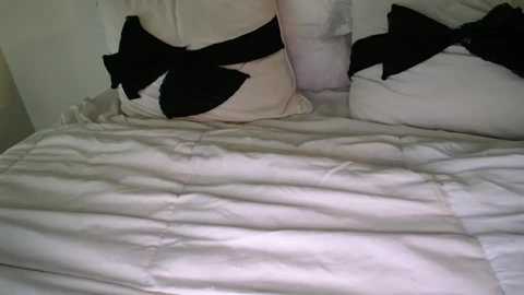 bigdicktrannynicole @ chaturbate on 20251027