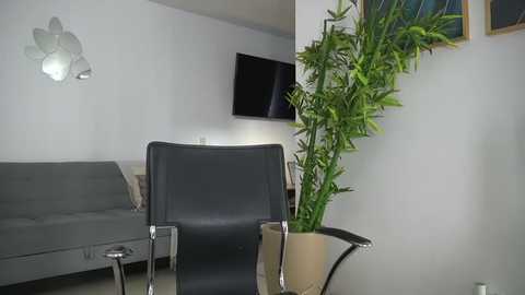 canelasungirl @ chaturbate on 20251027