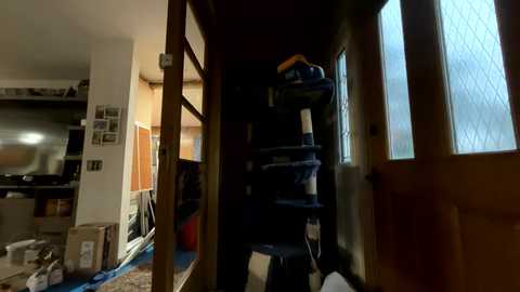 daddydic120402 @ chaturbate on 20251027