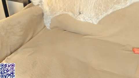 moanshade @ chaturbate on 20251027