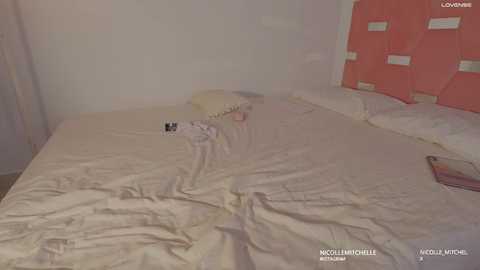 nicolle_mitchelle @ chaturbate on 20251027