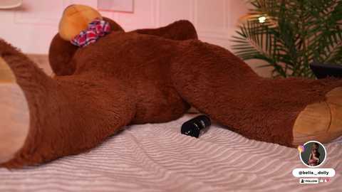 bella__donne @ chaturbate on 20251028