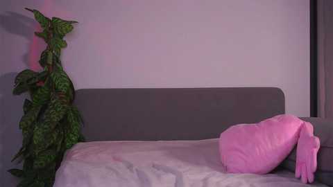 cinacandy @ chaturbate on 20251028