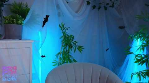 quennacindy @ chaturbate on 20251028