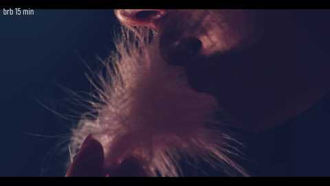 taanni_bc @ chaturbate on 20251028