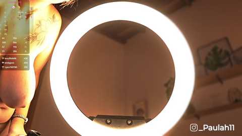 _paulah2 @ chaturbate on 20251029