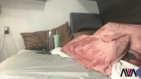 ava_west @ chaturbate on 20251029