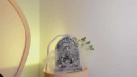 katiepeach_ @ chaturbate on 20251029