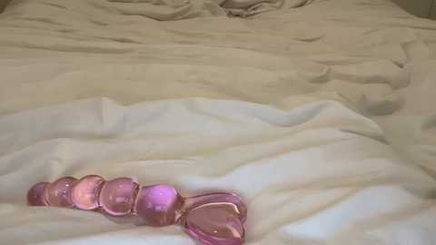 mswilderness420 @ chaturbate on 20251029