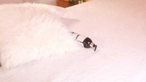 ana_maria11 @ chaturbate on 20251030