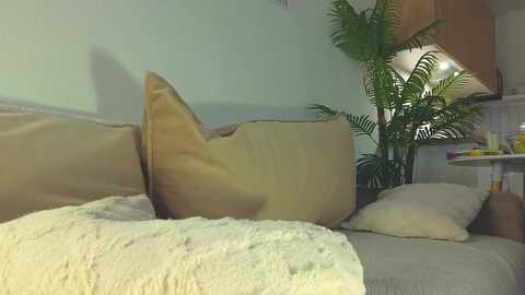 lili__roze_ @ chaturbate on 20251030