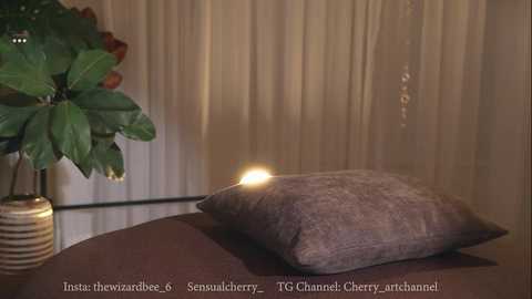 sensualcherry_ @ chaturbate on 20251030