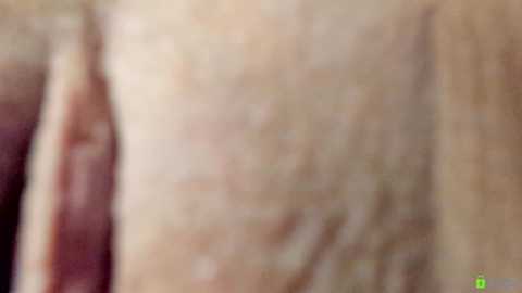 courtney_luv @ chaturbate on 20251031